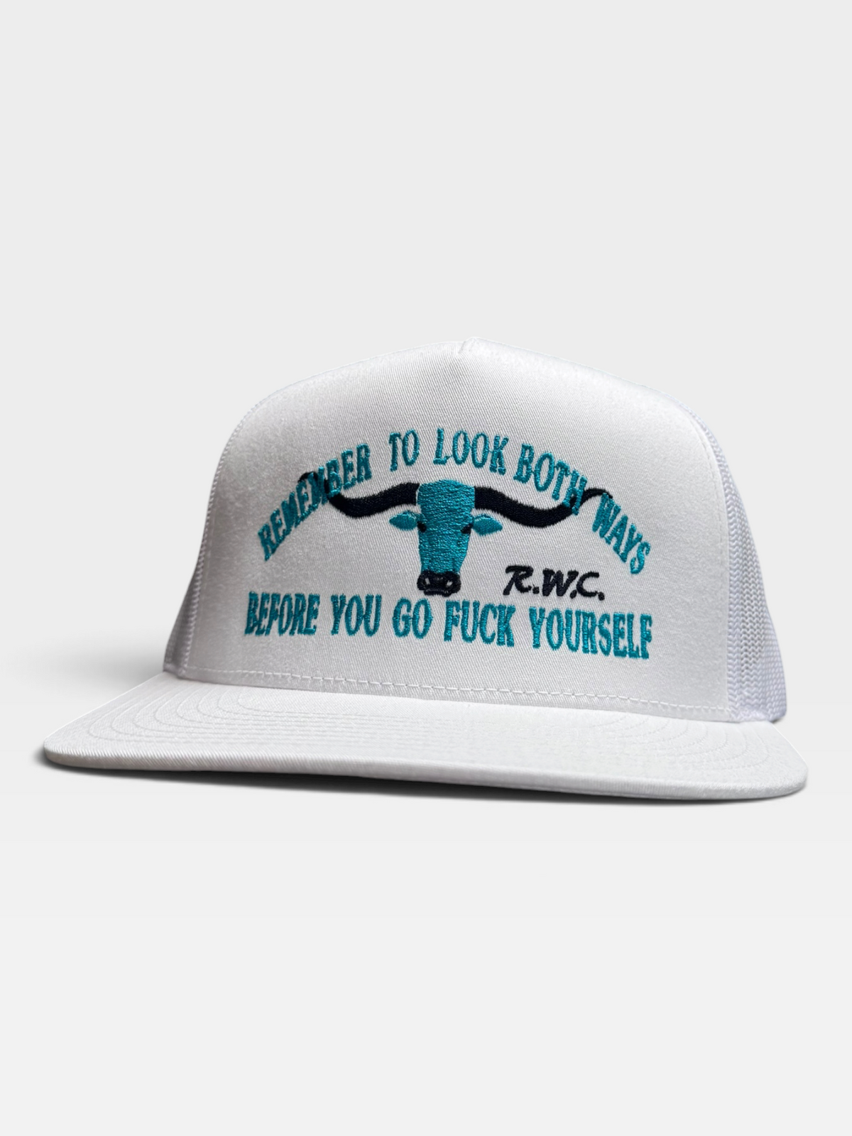 LOOK BOTH WAYS BEFORE YOU GO FUCK YOURSELF